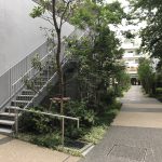 低層階東の緑道