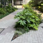 北東広場から低層階